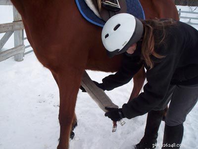 Mastering Horse Saddling: Safe & Comfortable Techniques for English & Western Rides