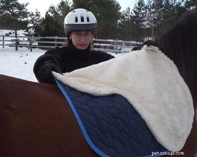 Mastering Horse Saddling: Safe & Comfortable Techniques for English & Western Rides