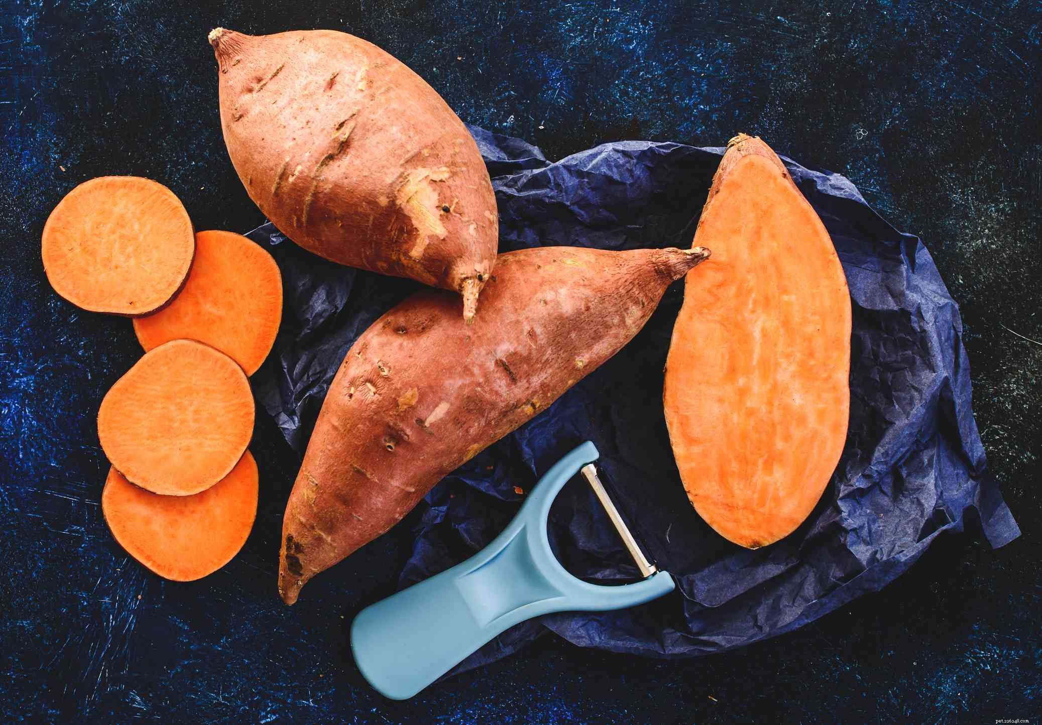 8 Top Vegetables Every Dog Should Eat