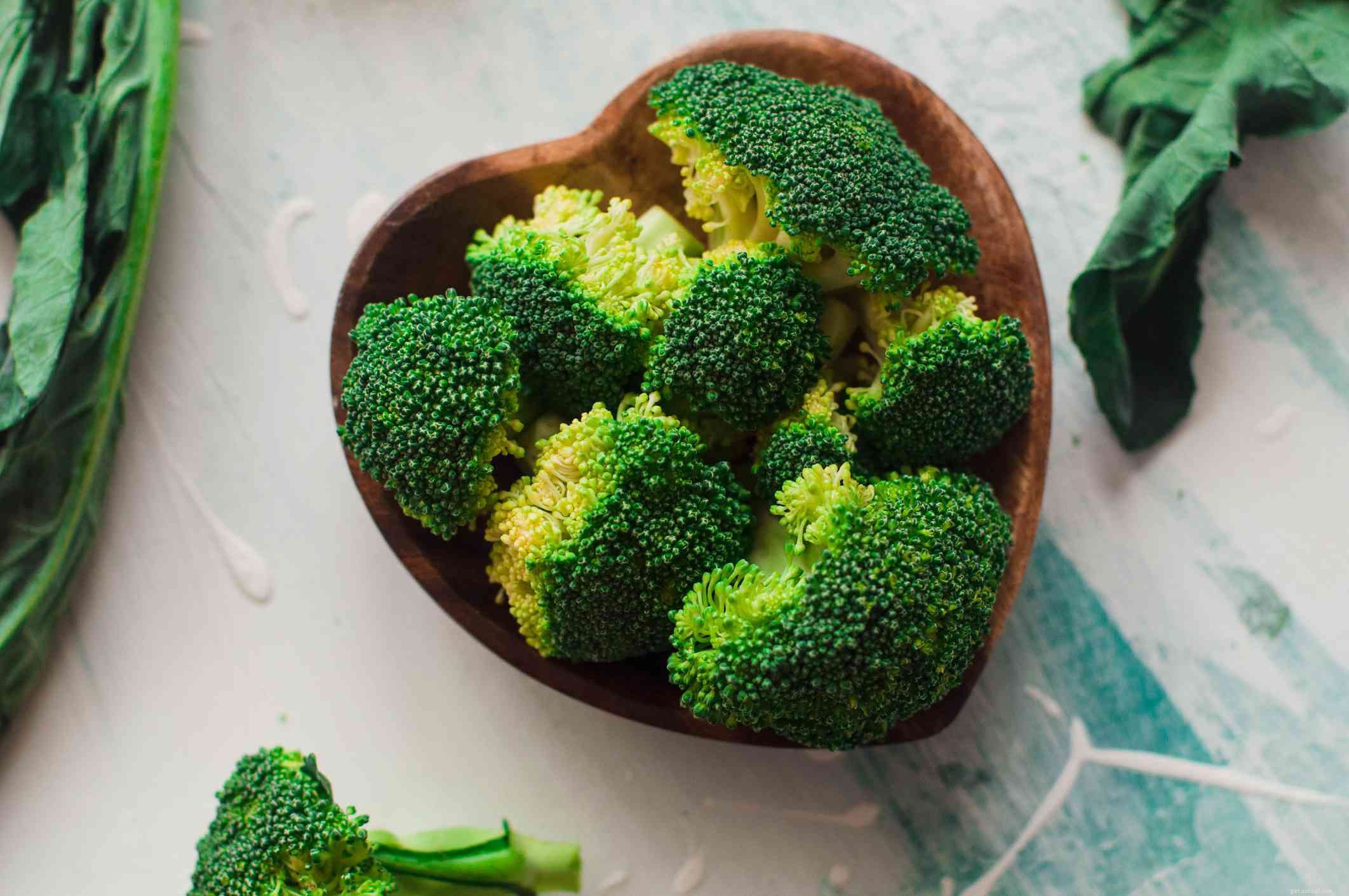 8 Top Vegetables Every Dog Should Eat