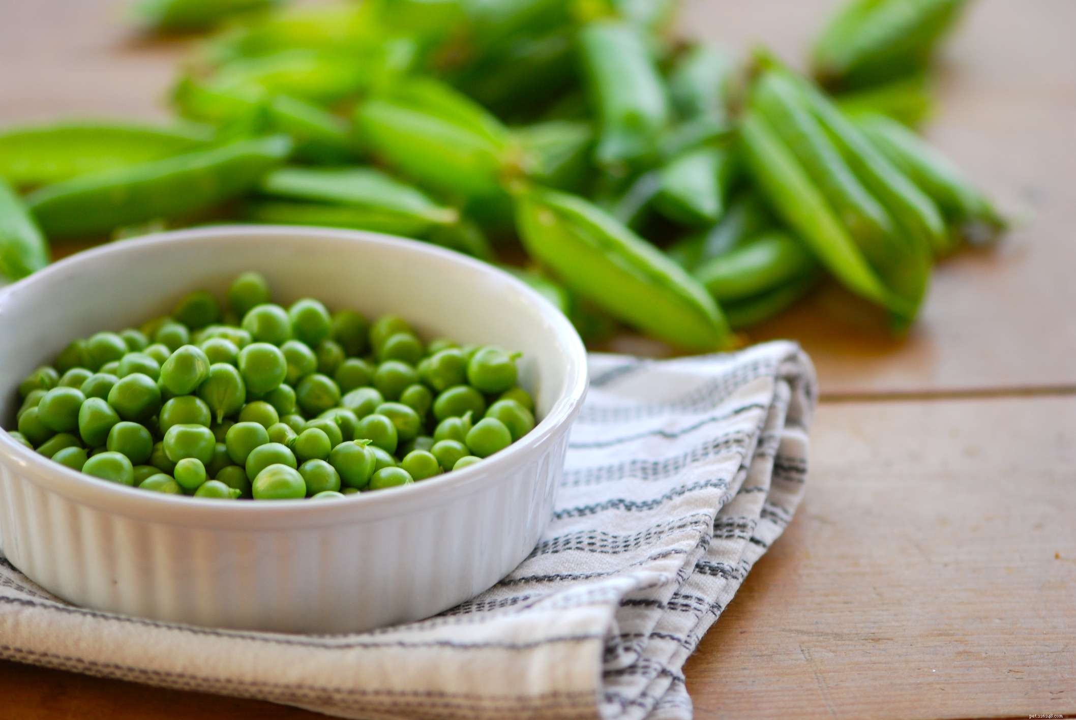 8 Top Vegetables Every Dog Should Eat