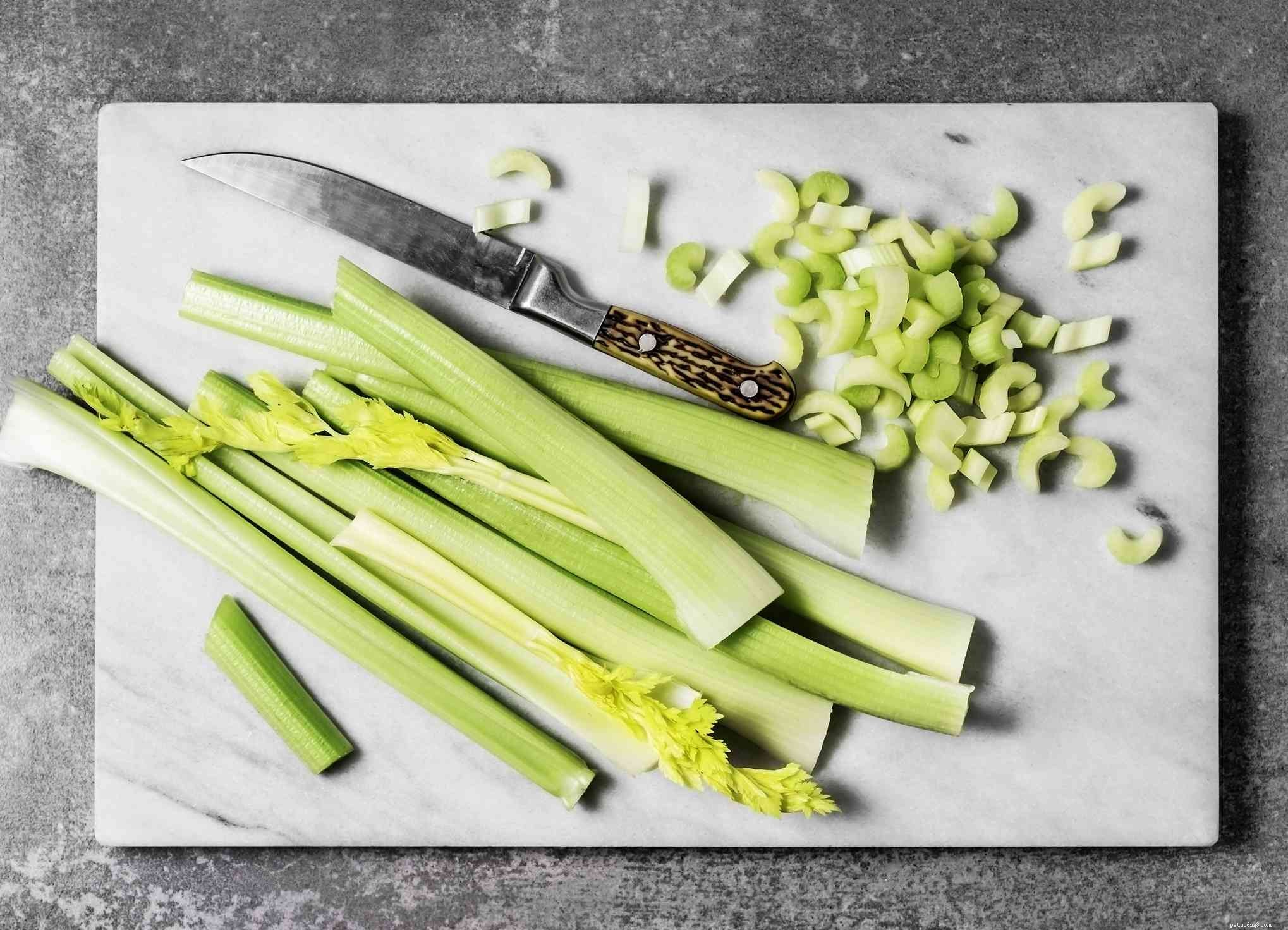 8 Top Vegetables Every Dog Should Eat