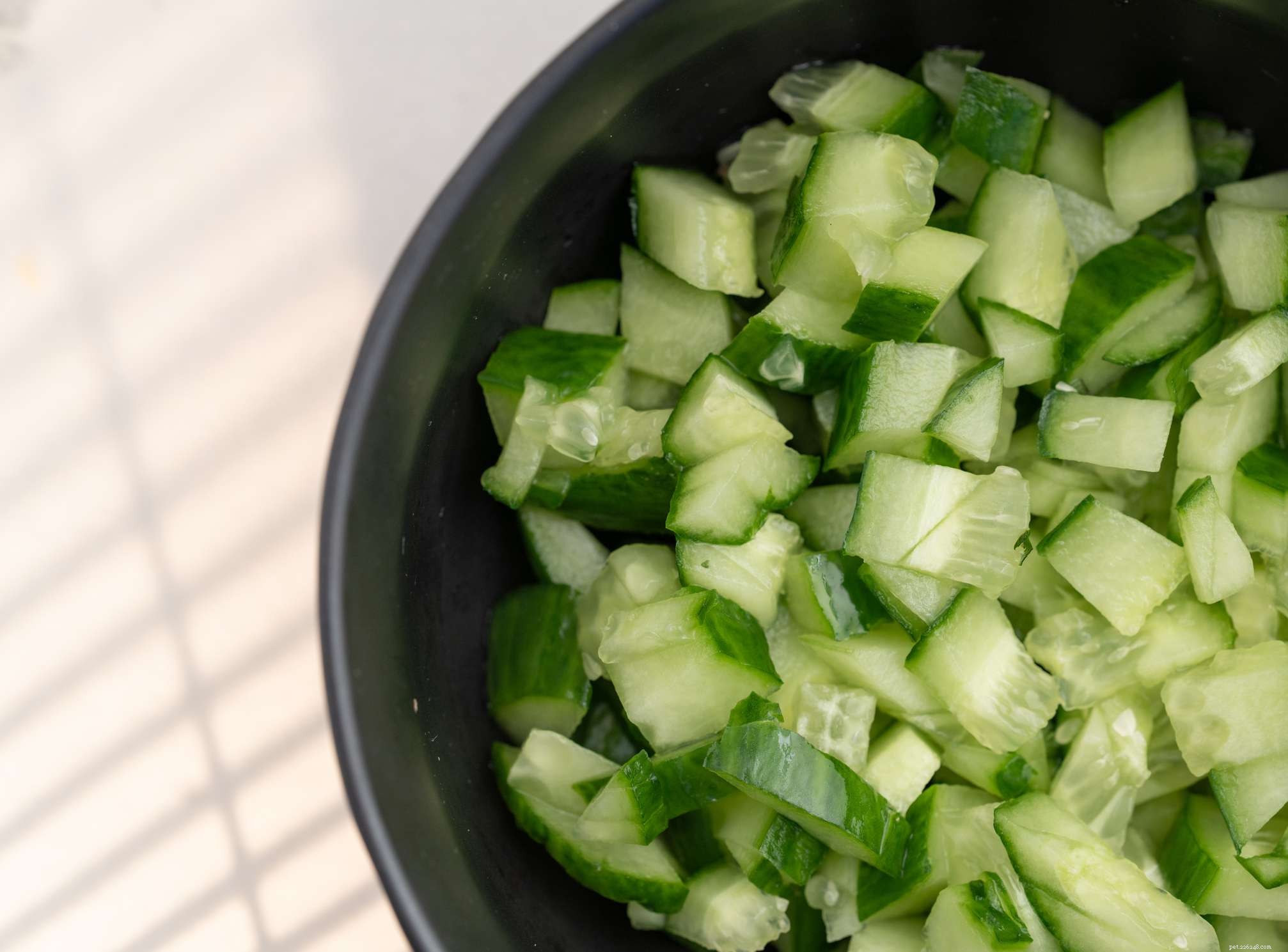 8 Top Vegetables Every Dog Should Eat