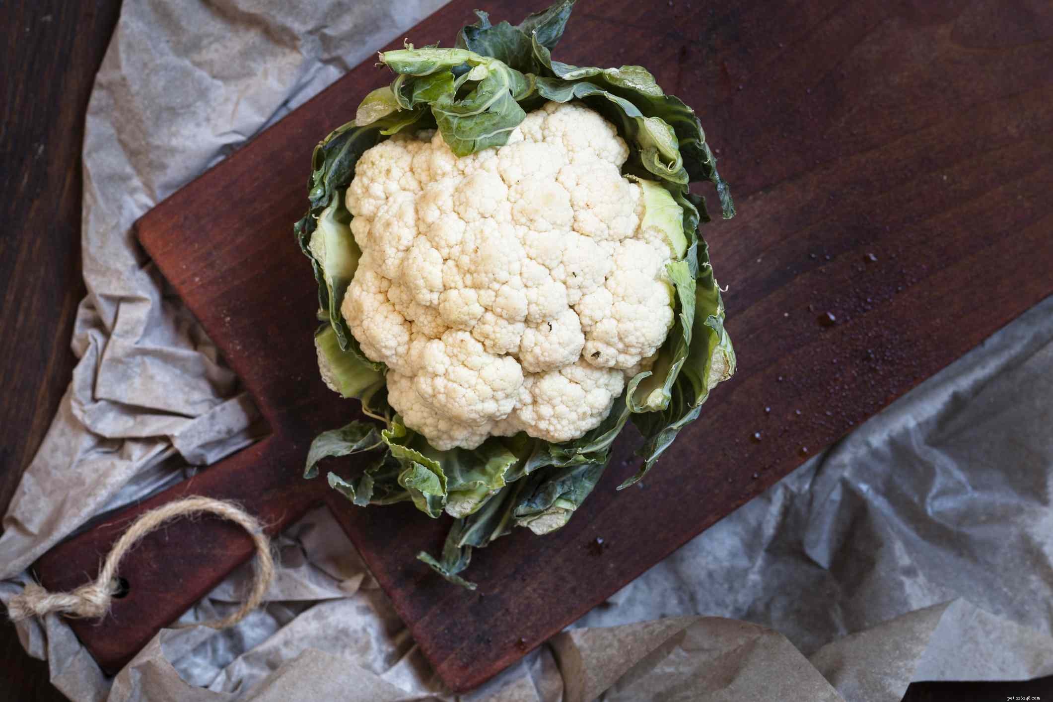 8 Top Vegetables Every Dog Should Eat