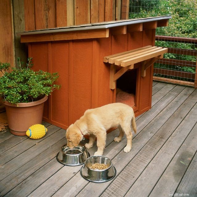 Build Your Dog s Dream Home: 14 Easy, Budget-Friendly DIY Dog House Plans