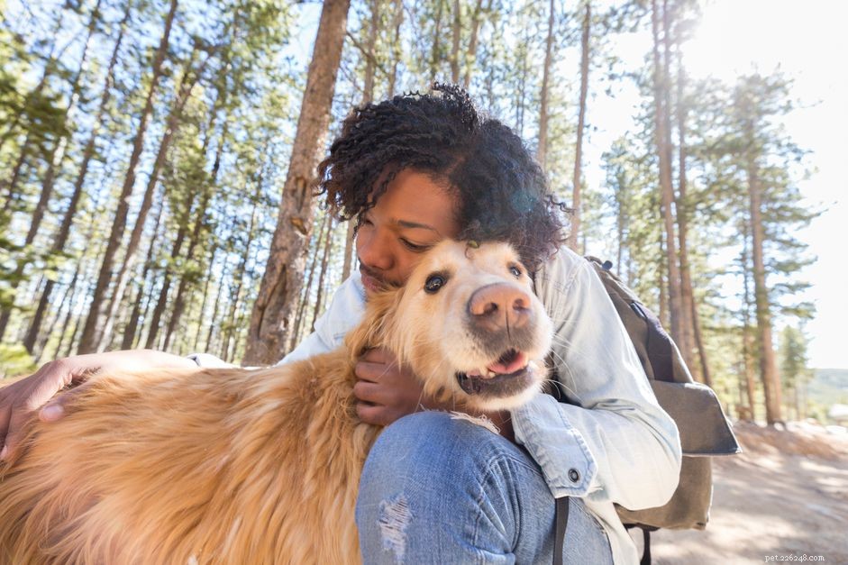 Managing Guilt After Euthanizing Your Pet