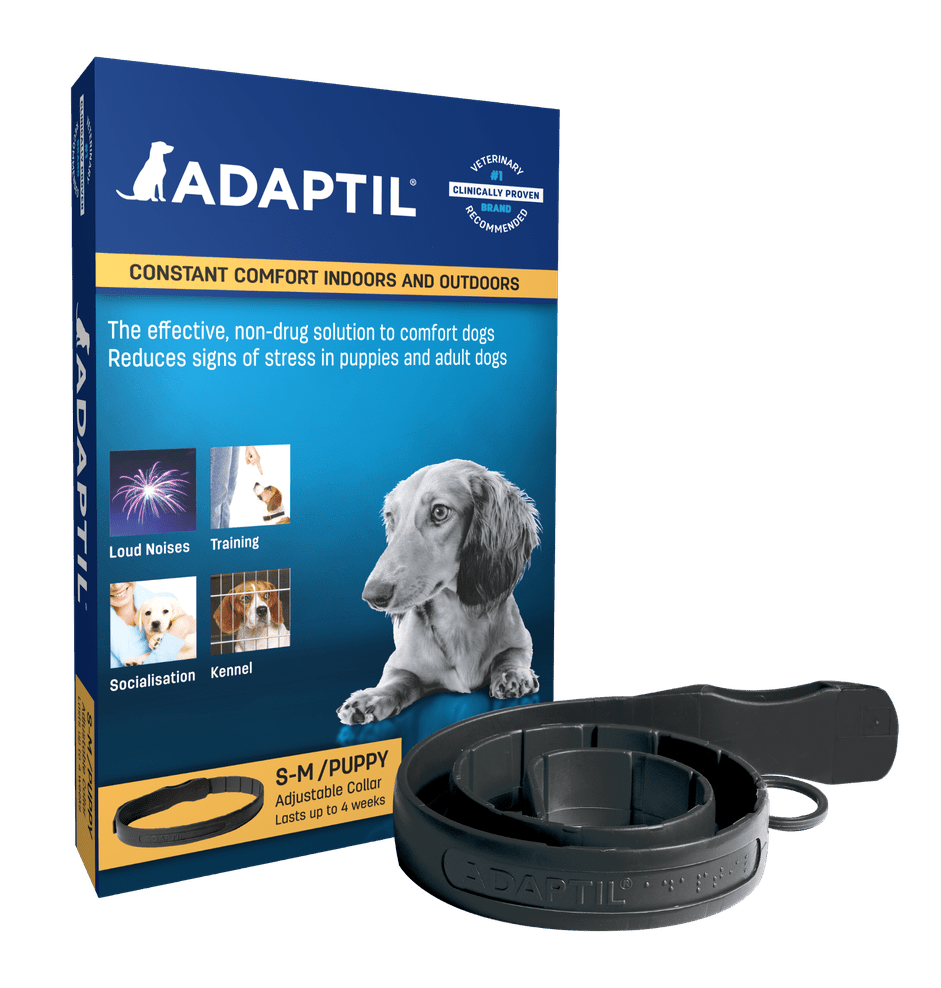 Adaptil Pheromone Collar: Soothing Stress & Anxiety in Dogs