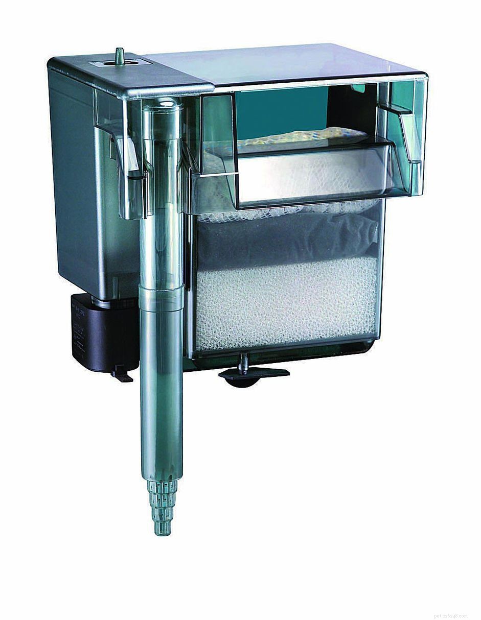 How to Clean a Hang‑On‑Back (HOB) Aquarium Filter: A Step‑by‑Step Guide