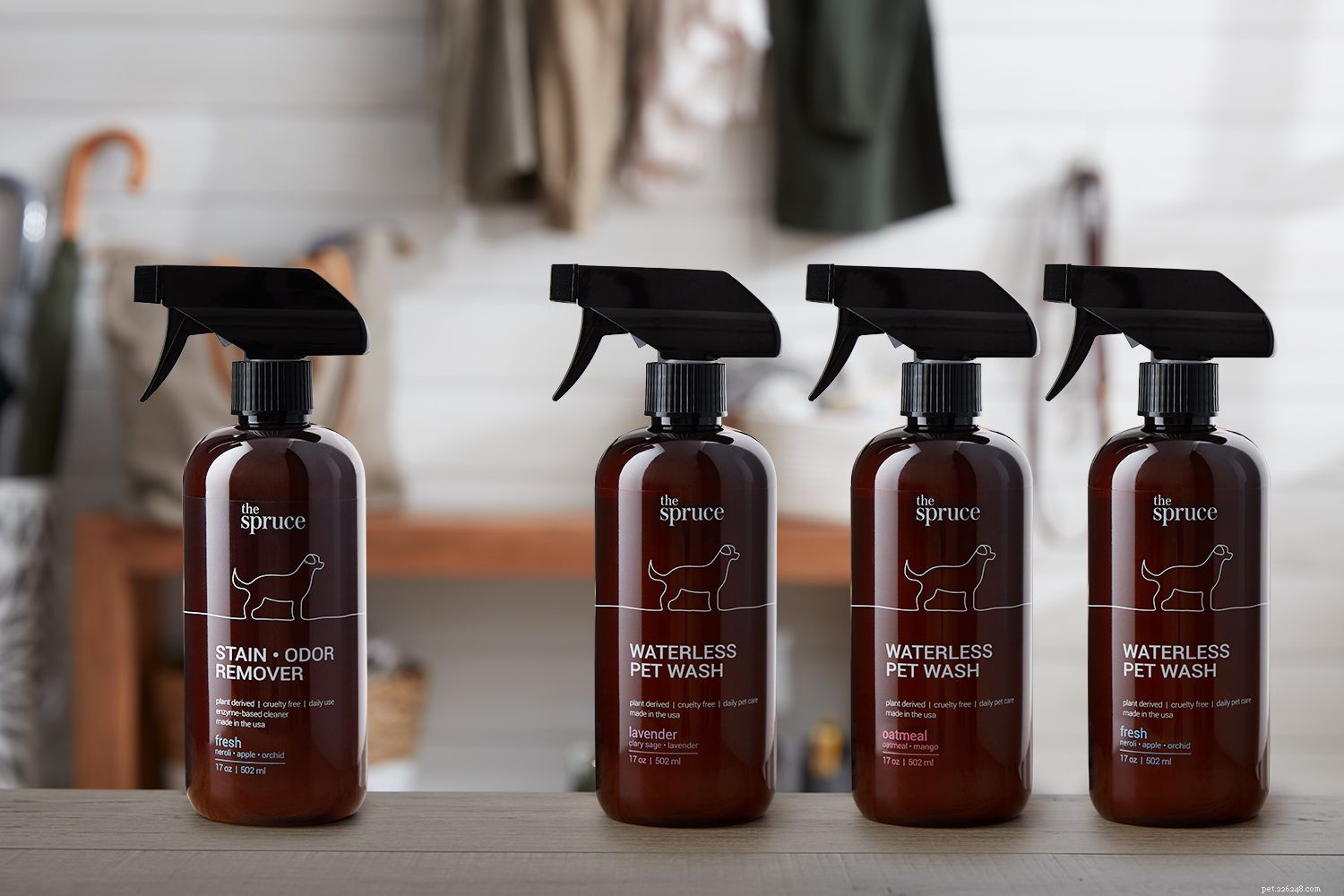 Discover The Spruce Pet Care Collection – Expert Care for Your Furry Family