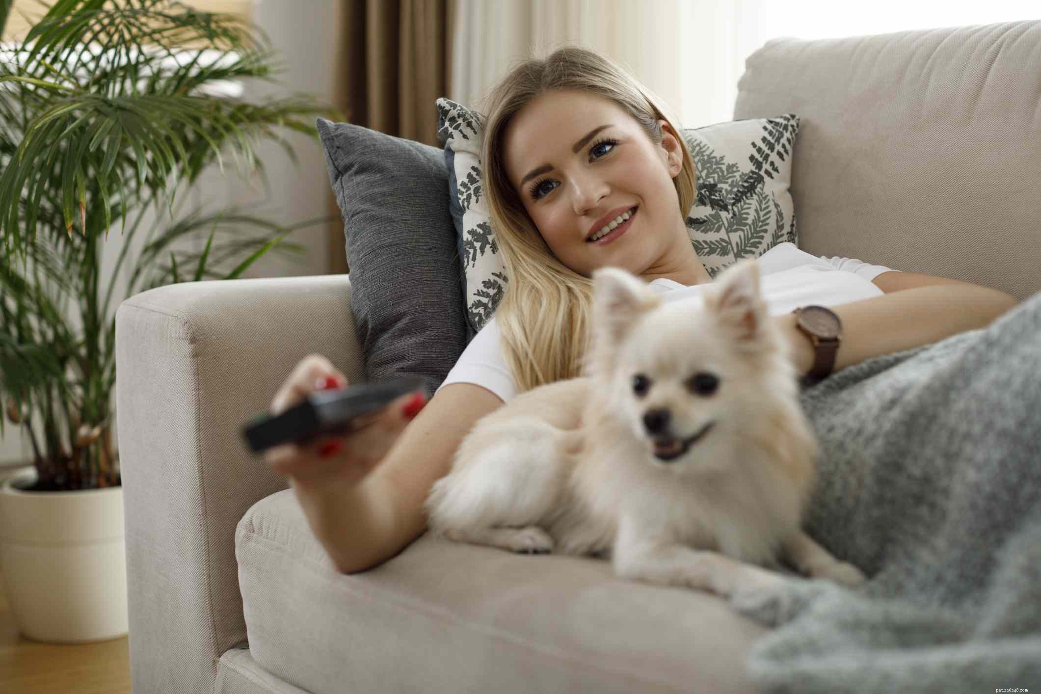 7 Engaging Indoor Activities to Strengthen Your Bond With Your Dog