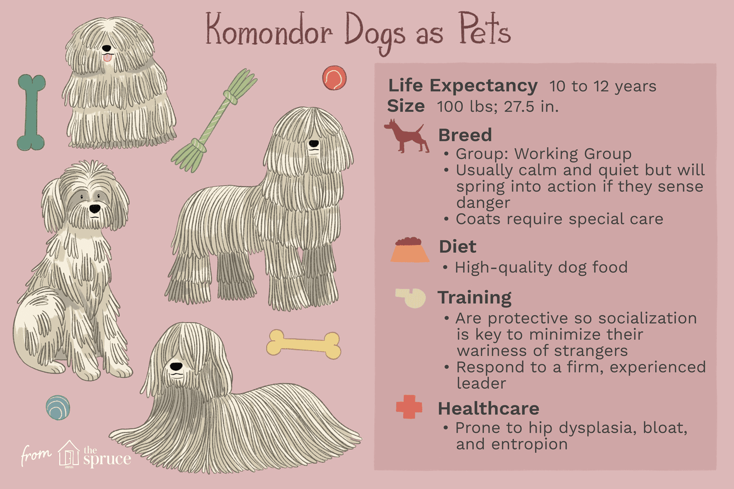 Komondor Dog Breed Profile: History, Care, and Characteristics