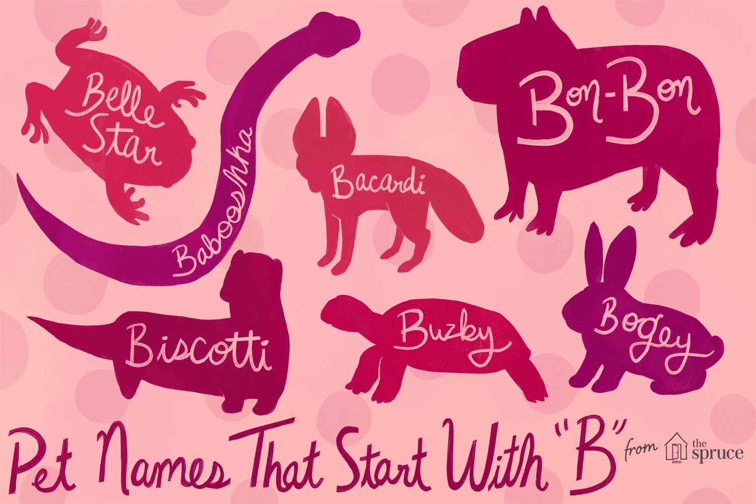Unique Exotic Pet Names Starting with B