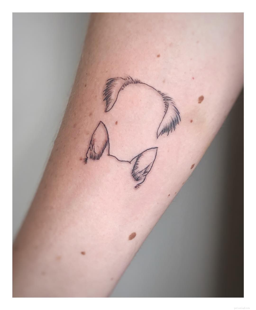 Premium Pet Owner Tattoos: Honor Your Furry Companion