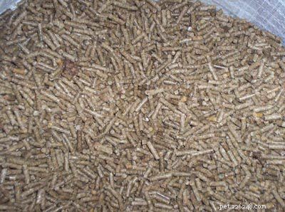 Premium Horse Feed Grains & Concentrates for Optimal Health & Performance
