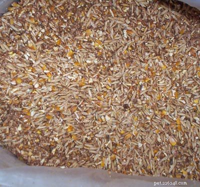 Premium Horse Feed Grains & Concentrates for Optimal Health & Performance