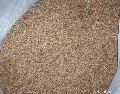 Premium Horse Feed Grains & Concentrates for Optimal Health & Performance