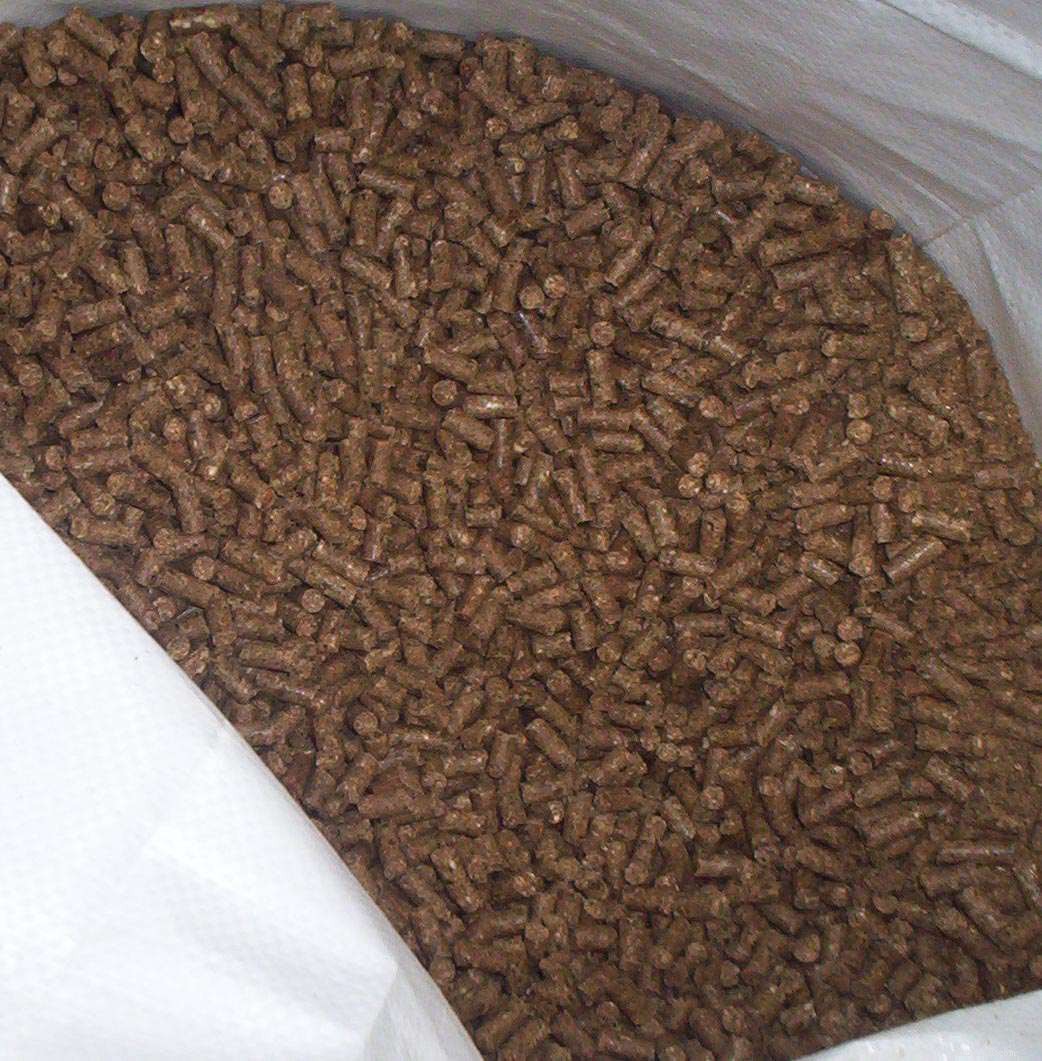 Premium Horse Feed Grains & Concentrates for Optimal Health & Performance