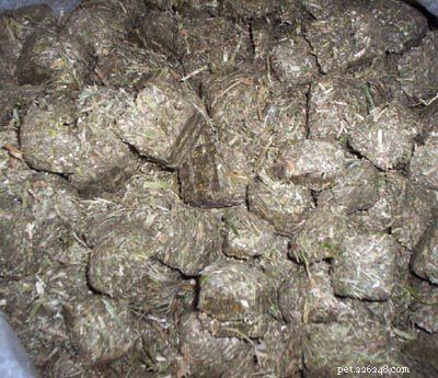 Premium Horse Feed Grains & Concentrates for Optimal Health & Performance