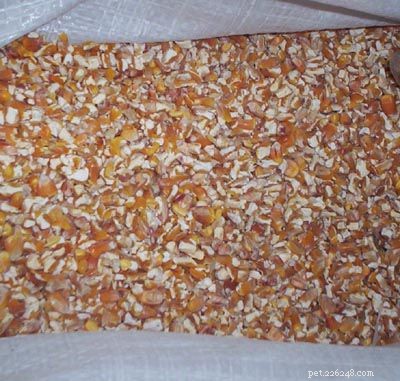 Premium Horse Feed Grains & Concentrates for Optimal Health & Performance