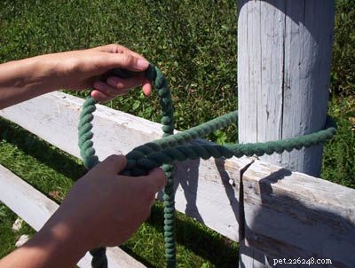 Secure Your Horse Safely with a Quick-Release Knot