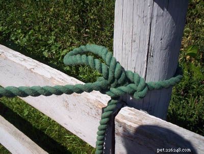 Secure Your Horse Safely with a Quick-Release Knot