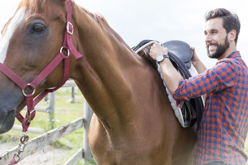 Create an Accurate Wither Trace for Perfect Saddle Fit