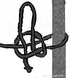 Secure Your Horse Safely with a Quick-Release Knot