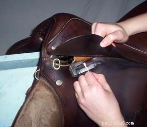Professional Guide: How to Clean Your Leather Saddle for Longevity