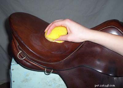 Professional Guide: How to Clean Your Leather Saddle for Longevity