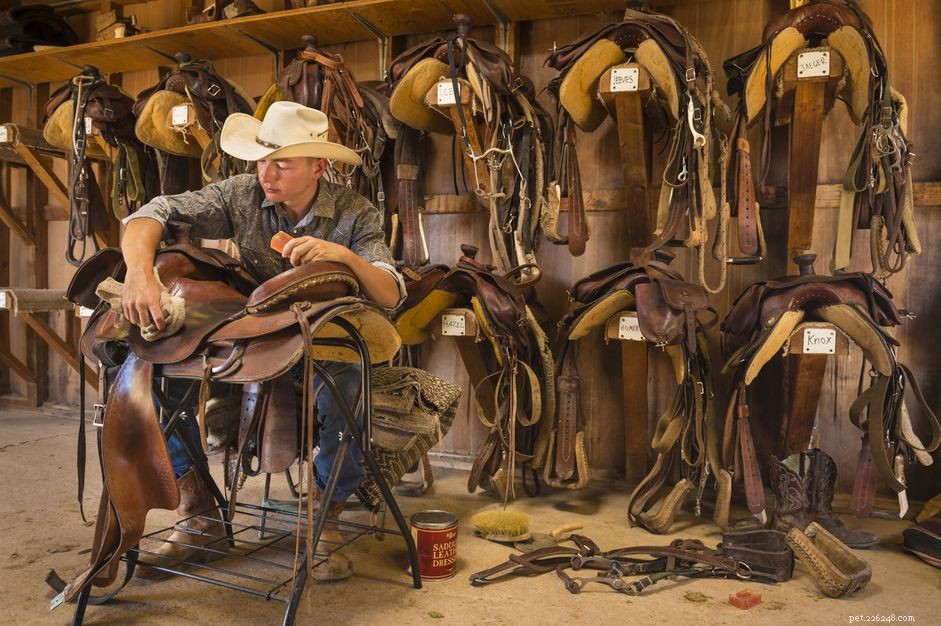 Professional Guide: How to Clean Your Leather Saddle for Longevity