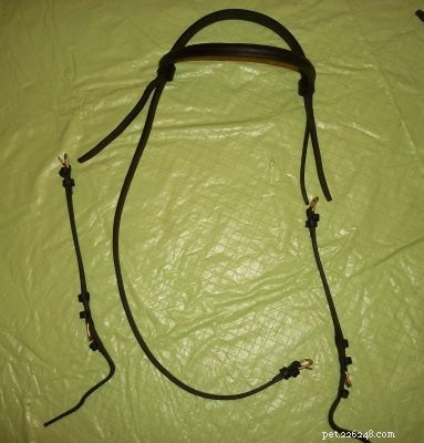 How to Reassemble a Bridle: Step-by-Step Guide