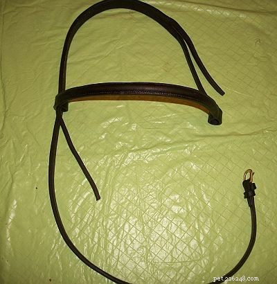 How to Reassemble a Bridle: Step-by-Step Guide