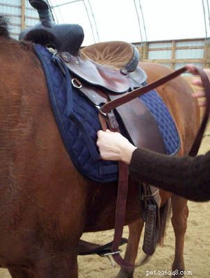 Mastering the Western Saddle Cinch: A Step‑by‑Step Guide
