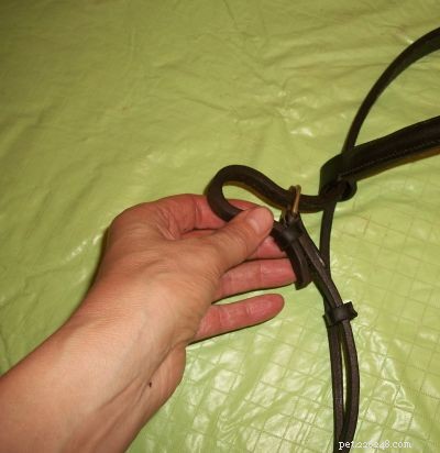 How to Reassemble a Bridle: Step-by-Step Guide
