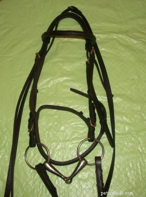 How to Reassemble a Bridle: Step-by-Step Guide