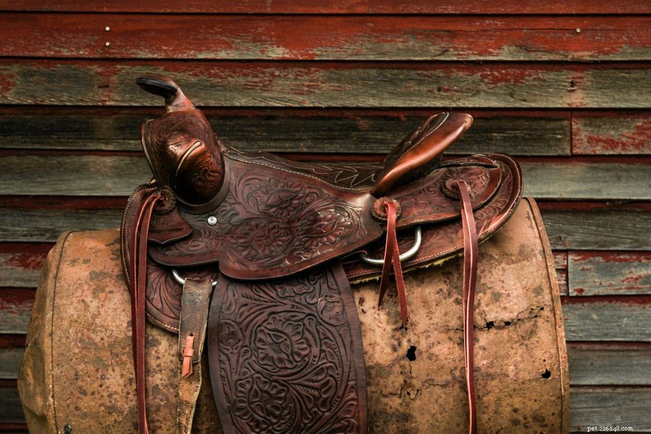 Mastering the Western Saddle Cinch: A Step‑by‑Step Guide