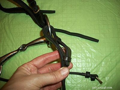 How to Reassemble a Bridle: Step-by-Step Guide