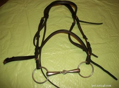 How to Reassemble a Bridle: Step-by-Step Guide