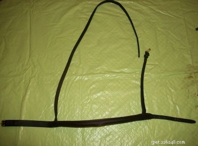 How to Reassemble a Bridle: Step-by-Step Guide