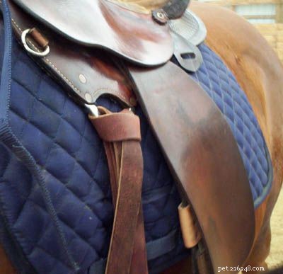 Mastering the Western Saddle Cinch: A Step‑by‑Step Guide