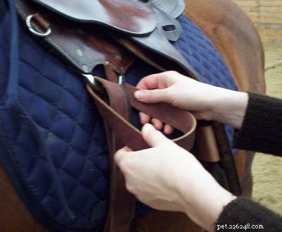 Mastering the Western Saddle Cinch: A Step‑by‑Step Guide