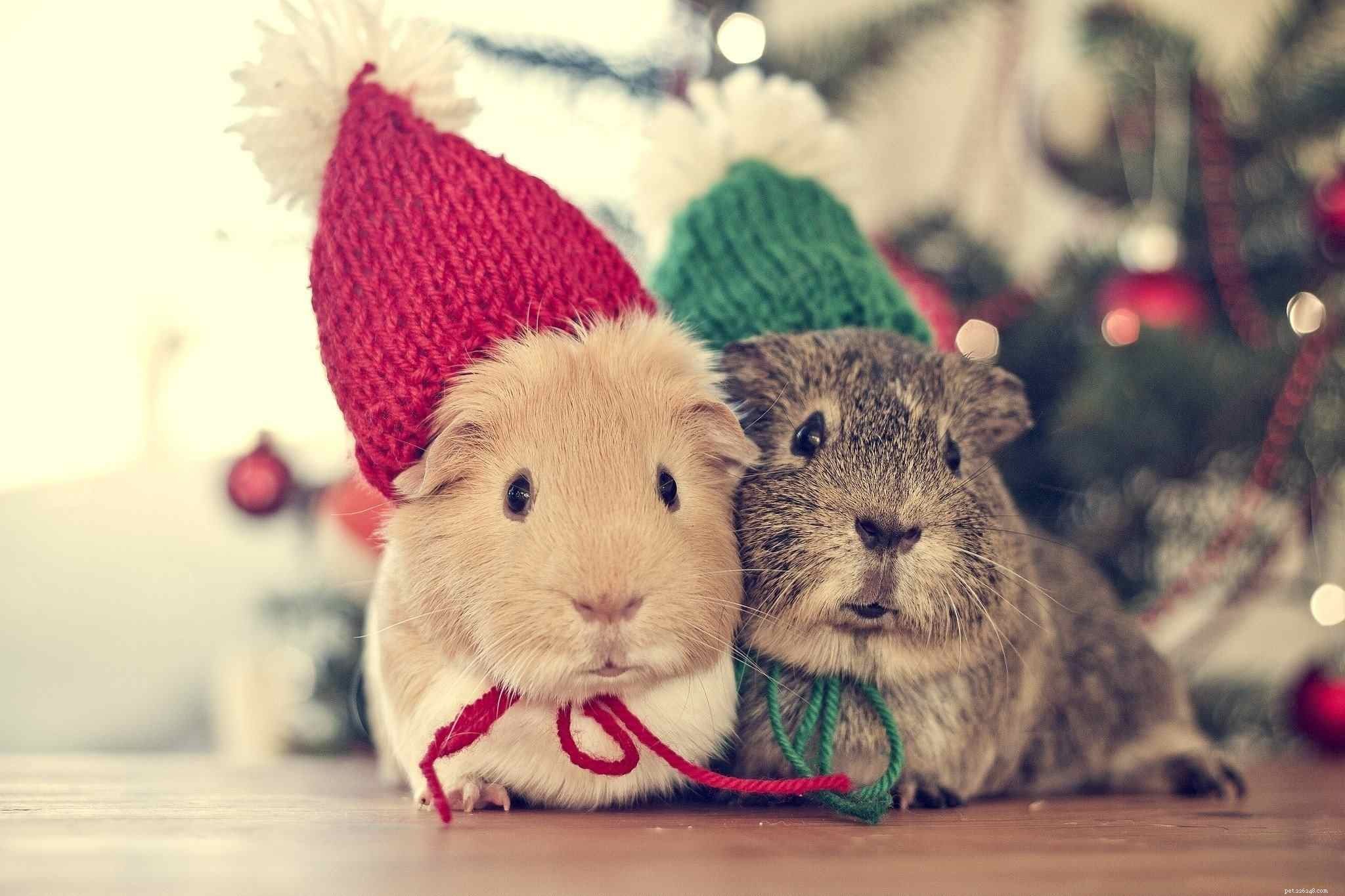 12 Adorable Baby Animals That Love Winter