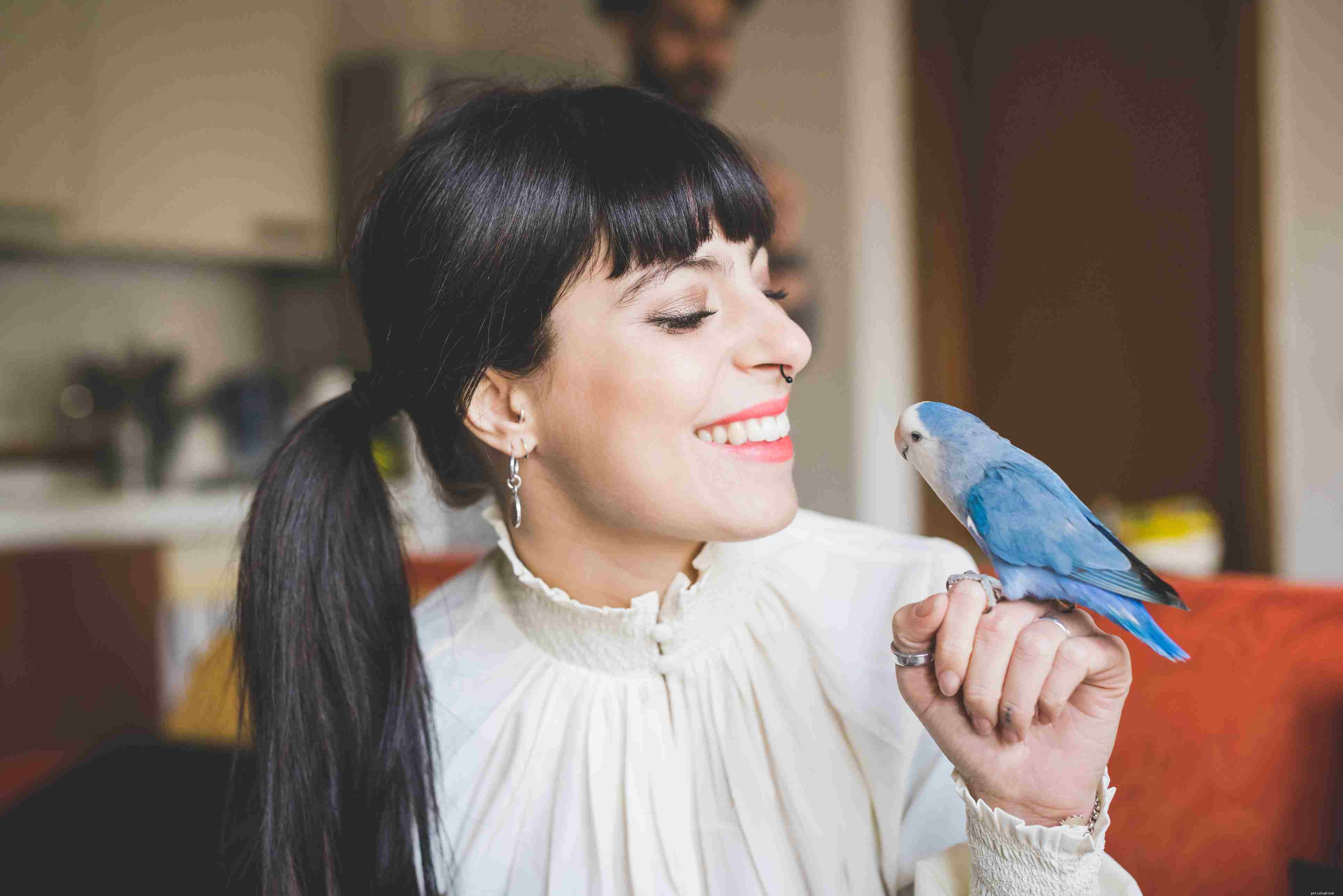 Teach Your Pet Bird to Talk: Proven Techniques for Voice Training