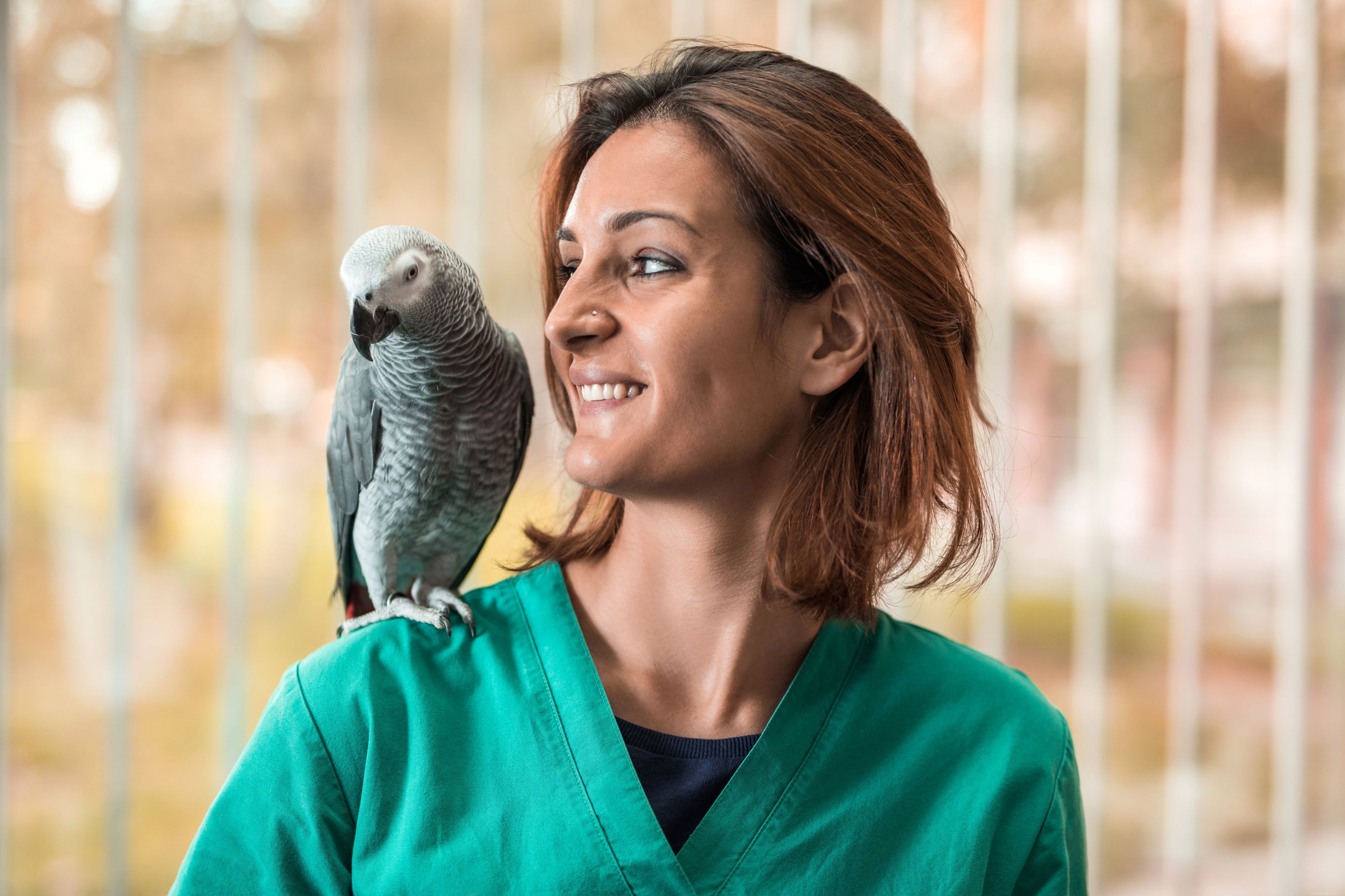 Bird Beak Health: How to Detect and Treat Common Problems for Pet Parrots