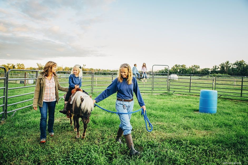 Build a Budget-Friendly Round Horse Pen: Cost-Effective Construction Tips
