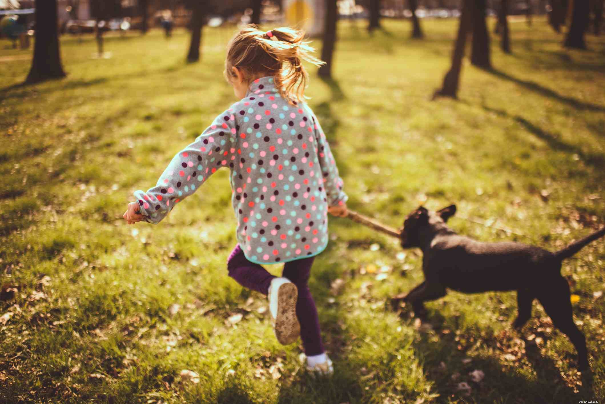 Best Puppy Toys for Energetic Play: A Guide to Keep Your Pup Engaged