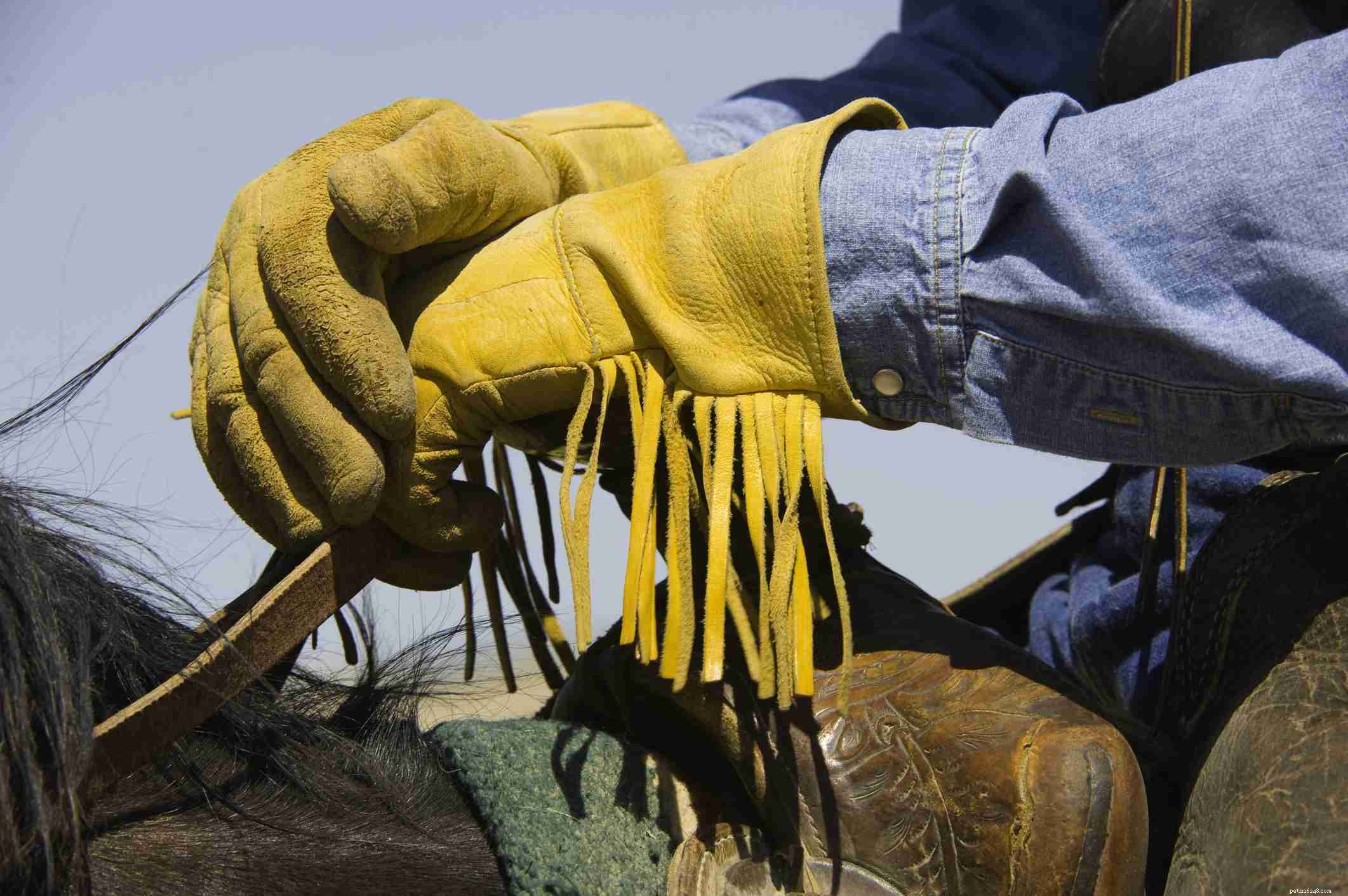 Essential Safety Gear for Horseback Riding: Protect Yourself on the Saddle