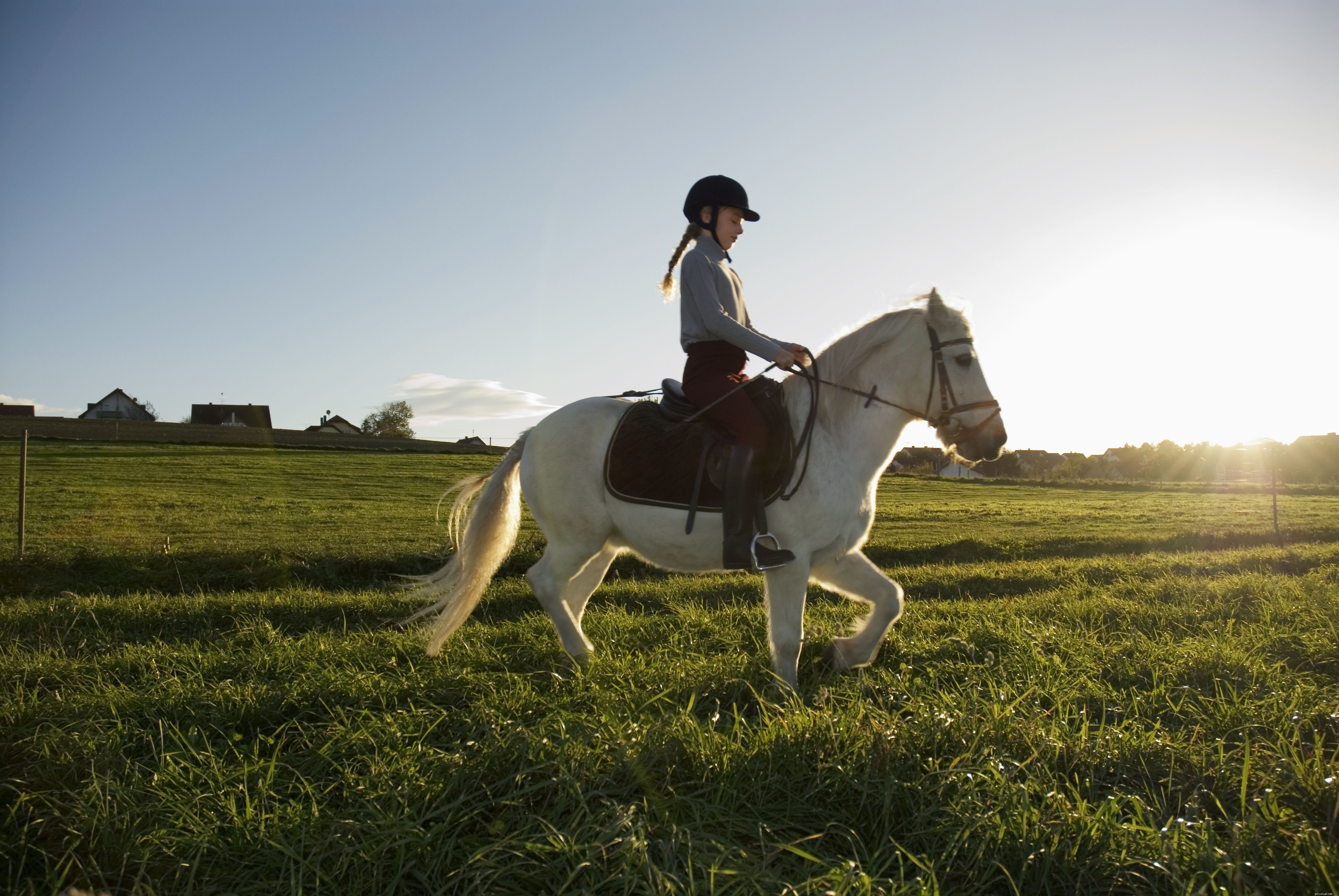Mastering the Horse Walk: Essential Tips for Beginners