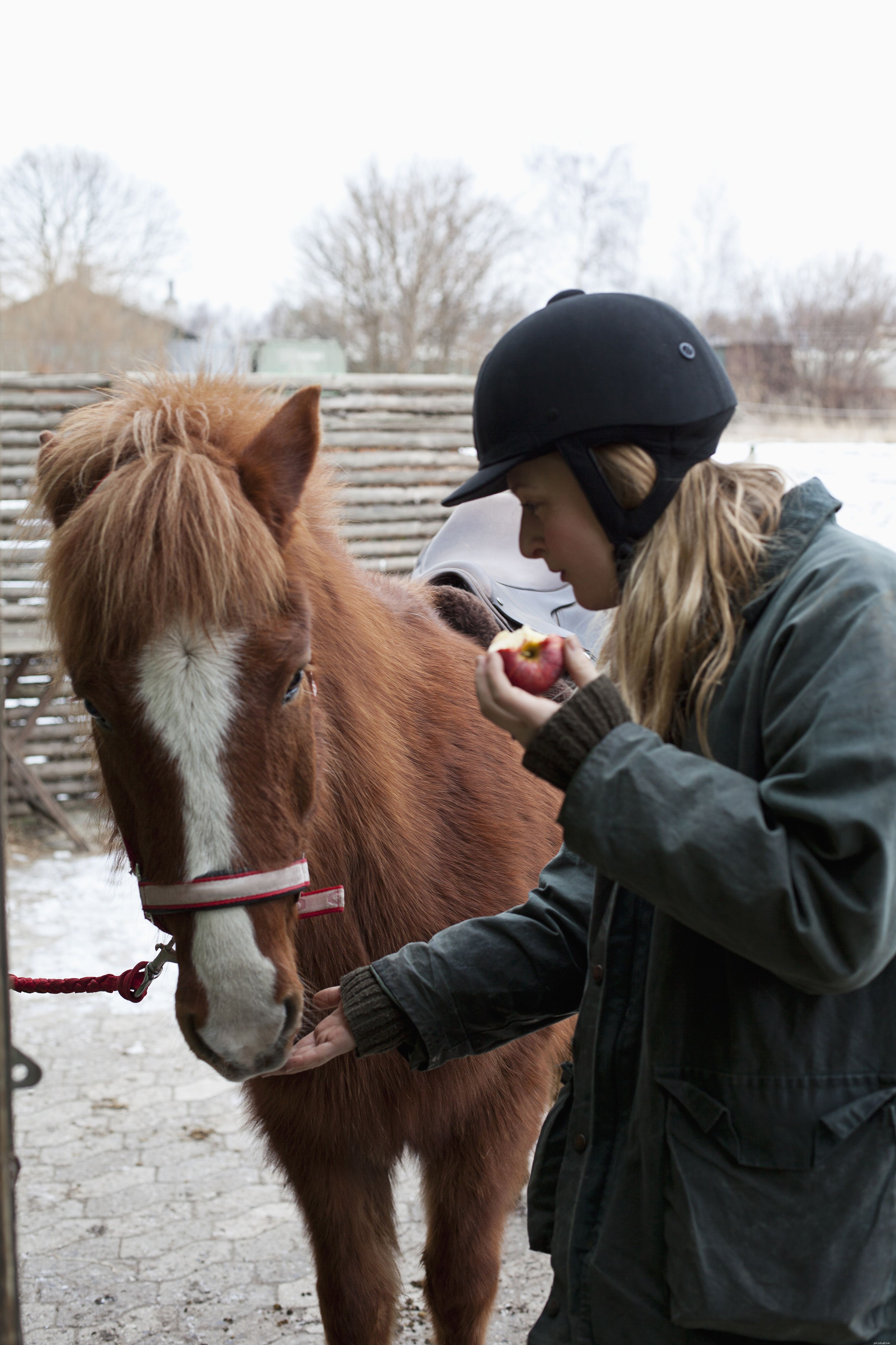 Understanding Horse Safety: 8 Common Injury Risks and How to Avoid Them