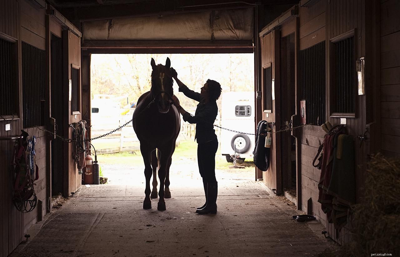 Essential Tacking Tips: Avoid Common Mistakes for Safe, Comfortable Rides